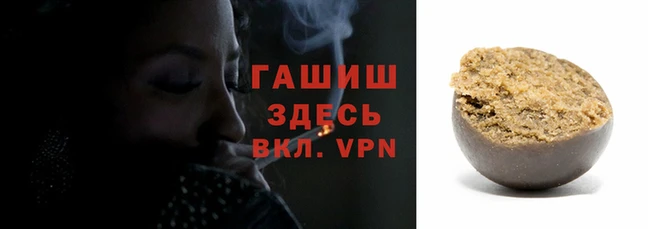 крисы Алзамай